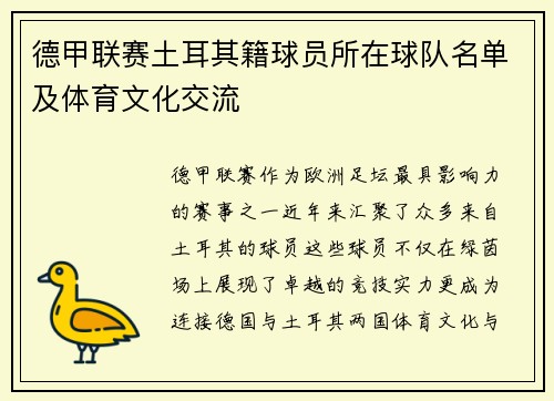 德甲联赛土耳其籍球员所在球队名单及体育文化交流